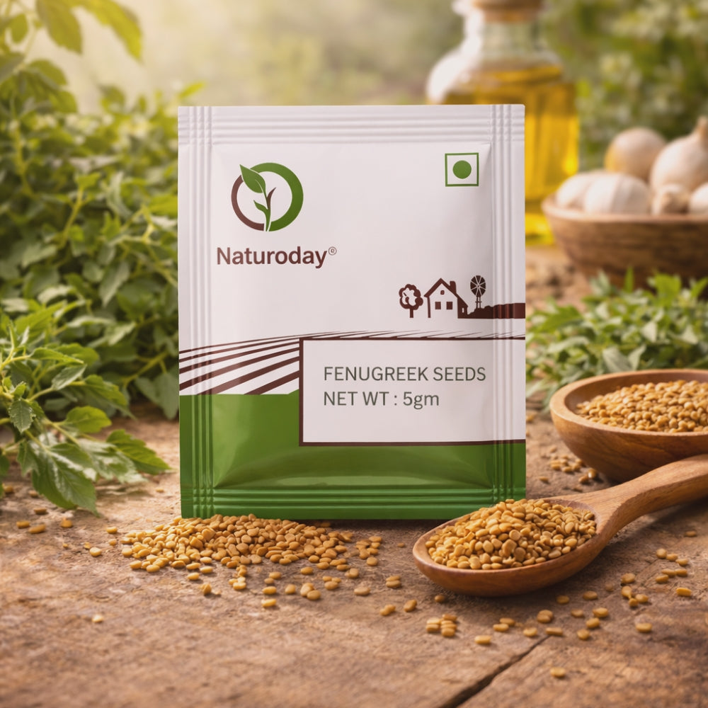 Fenugreek Seed/ Methi dana Seeds Whole