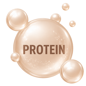 Protein
